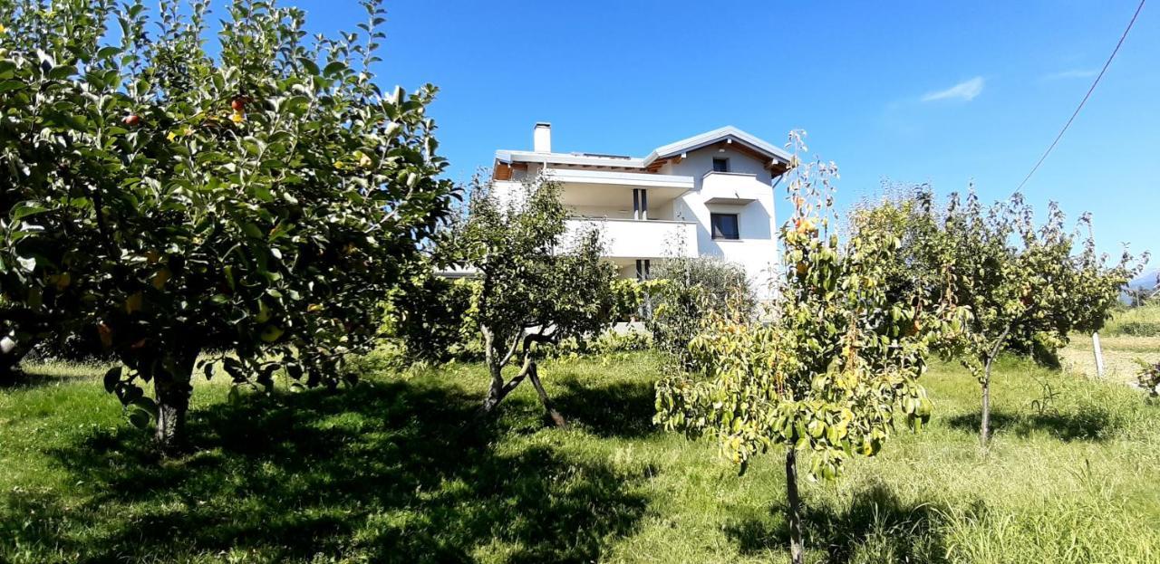 Al Settimo Miglio, Alloggio Agrituristico Βίλα Treppo Grande Εξωτερικό φωτογραφία